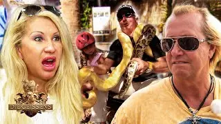 Schlangen und Hot-Chili-Saucen?! 🐍🔥 Scooter-Tour durch Key West! 🛵 | Die Geissens #GEISSCLASSICS #47