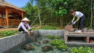 TIMELAPSE | From Tank Completion to Plumbing Installation and Buying Turtles to Raise