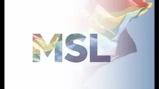 MSL Colleagues discussing HRC 100% score in the Corporate Equality Index