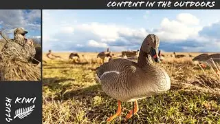 Погоня за гусем - тизер/ Chasing the geese-  teaser.