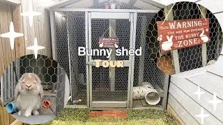 Rabbit shed upgrade/Tour