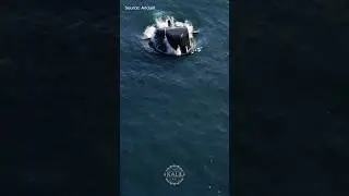 Anduril Dive-XL Uncrewed Submarine 