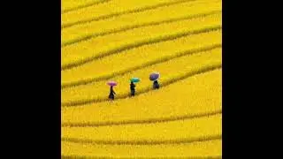 35 Sec Relaxing Music for Focus Stress Relief Music(2023)