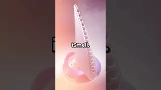 The WEIRDEST Accessory In Gaming History