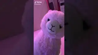 yuuechka Tik Tok Юечка Тик Ток 