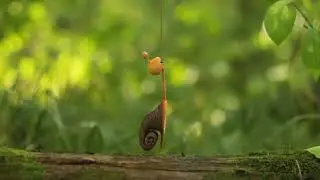 С днем Рождения!