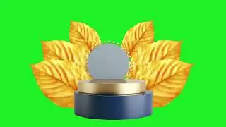 Product podium 3D mock up loop animation green screen footage | 4K footages | GreenScreen Vfx