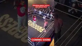 ROH World Champion vs Progress Wrestling World Champion.  Winner Takes All.