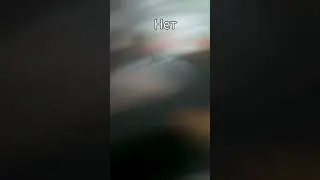 2 февраля 2024 г.
