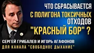 Что сбрасывается с полигона токсичных отходов «Красный бор»?