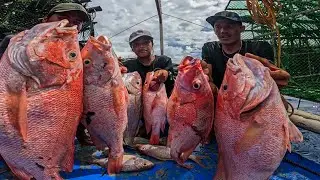 Grabe Malalaking Maya-Maya Wasak Ang Pinakamalaking Trap!