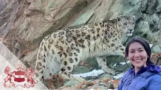 Community-Based Conservation: Safeguarding the Snow Leopard in Kyrgyz-Alai | Fatima Mannapbekova