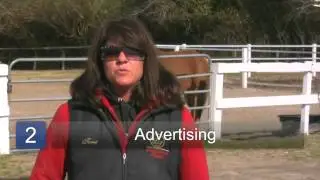 How to Sell Horses