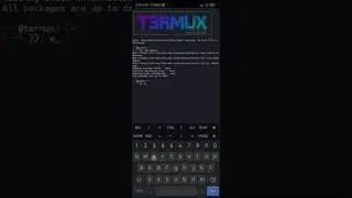 T-Header in Termux. add custom interface in Termux 