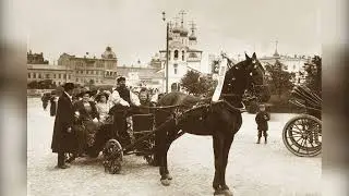 Тифлокомментарий к фотографии М. П. Дмитриева "День белой ромашки"