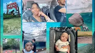 Vlog | A Day At The Zoo *Twins’ First Time*