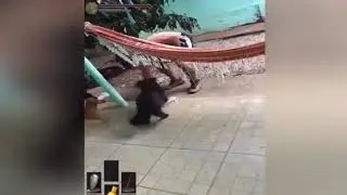 EPIC Dark Souls Meme Compilation