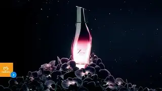 Lançamento Luna Absoluta Natura