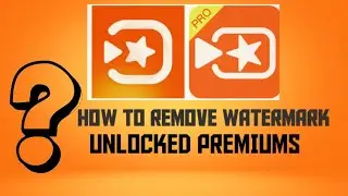 HOW TO REMOVE WATERMARKS/VIVAVIDEO PRO