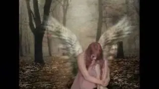 Diary of Dreams - Tears of Laughter