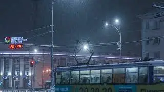 Сын Летова - Мысли о главном
