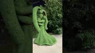 Амурский Благовещенск 