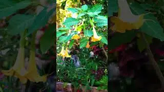 Идеальное место для фотографий на севере Израиля
