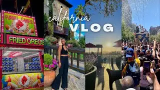 CALI VLOG | Napa Valley Winery, County Fair, Warrior's Championship Parade + More