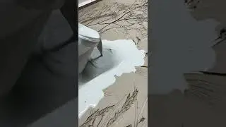 Как создается цветочный барельеф?