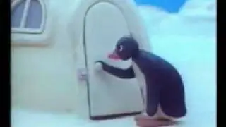 pingu macht probleme