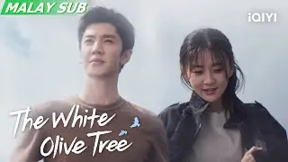 Trailer: Tiada siapa yang bersendirian❤️ | The White Olive Tree 白色橄榄树 | iQIYI Malaysia