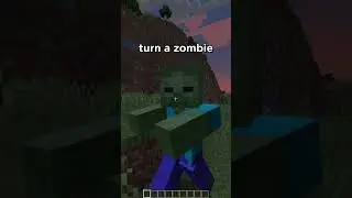 DOG ARMOR IN MINECRAFT?!