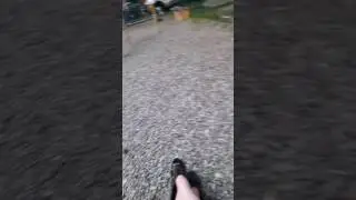 Вы гавно