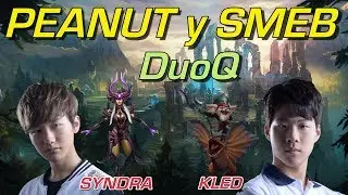 PEANUT MID SYNDRA  y SMEB TOP KLED -DuoQ-
