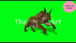 Wild cat /wild Animal green screen.