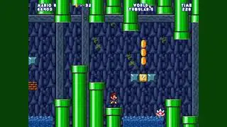Softendo's Mario Worker - Tubular World