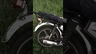 альфа рейсер