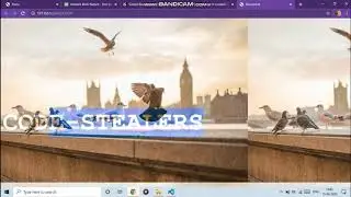 simple-jquery-css-animation-with-transparent text