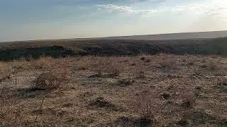 6 ноября 2021 г.