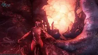 #Warframe