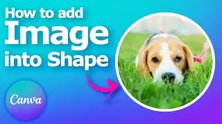 Canva how to put image in shape
