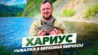 Хариус. Рыбалка в верховье Бирюсы