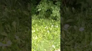 вспомнила детство 😉