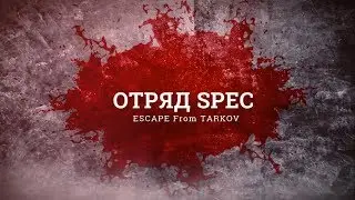 Escape From Tarkov SIG MPX 9х19 Модификации
