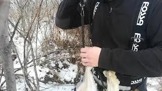 Охота на зайца