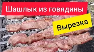 Шашлык из говяжьей вырезки. Как не испортить мясо?