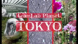 teamLab Planets Tokyo, Digital Art Museum, Light Show