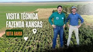 ROTA BAHIA - VISITA TÉCNICA FAZENDA KANSAS