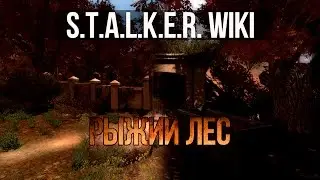 S.T.A.L.K.E.R. WIKI: РЫЖИЙ ЛЕС