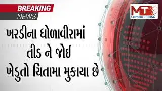 ખરડીના ધોળાવીરા માં તીડ નો હુમલો